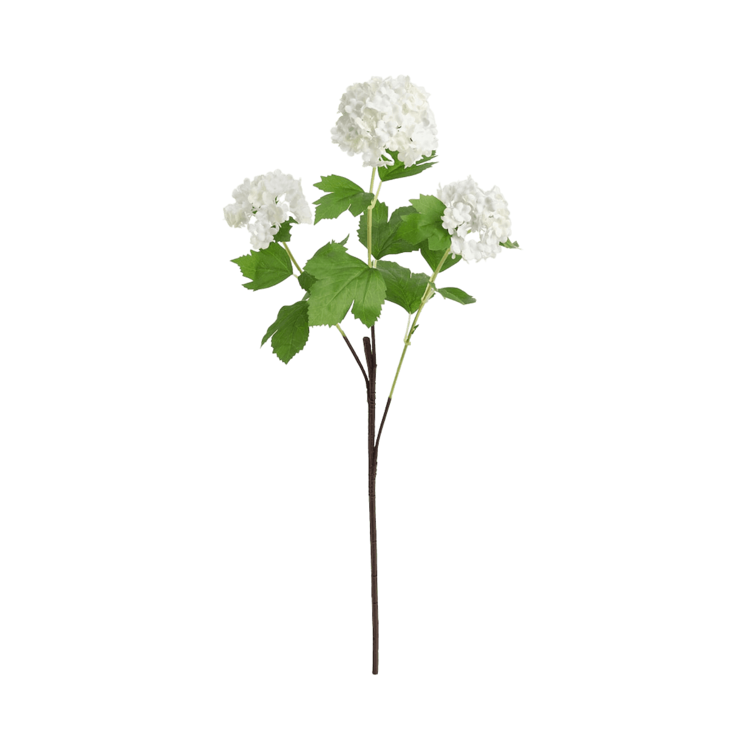 Kunstige blomster, Snøball - Ditt Utstyr